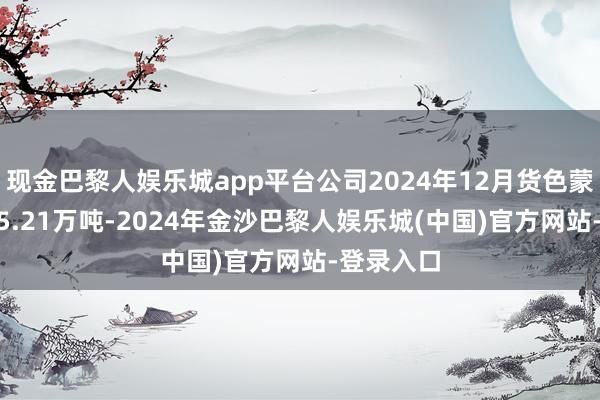 现金巴黎人娱乐城app平台公司2024年12月货色蒙胧量2905.21万吨-2024年金沙巴黎人娱乐城(中国)官方网站-登录入口